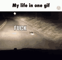 a gif of a cat walking down a road with the words my life in one gif and fuck