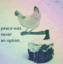 Peace Was Never An Option Chicken GIF