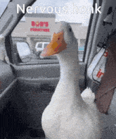 a duck in a car with a bob 's furniture store behind it