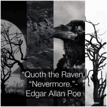 Raven Quote Edgar Allan Poe GIF - Raven Quote Edgar Allan Poe GIFs
