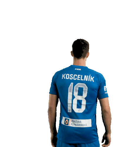 Slovan Liberec Sticker