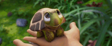 Ainbo Turtle Ainbo GIF - Ainbo Turtle Ainbo Baby Turtle GIFs