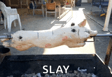 Khod Catering GIF - Khod Catering Lechon GIFs