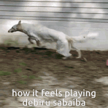 Debiru Sabaiba Devil Survivor GIF