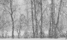 Winter Storm GIF - Snowing Winter Snowfall GIFs