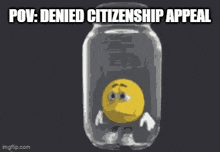 Denied Citizenship Appeal GIF