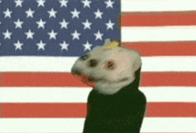 a puppet in front of an american flag with stars