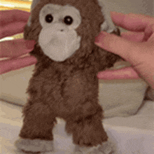 a stuffed monkey is being held by a person .