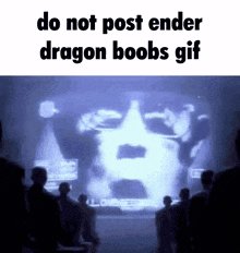 Do Not Post Ender Dragon Boobs GIF