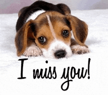 Miss You2 GIF - Miss You2 GIFs