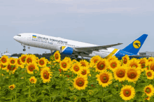 fly uia uia %D0%BC%D0%B0%D1%83 ukraine international airlines airplane