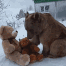 bears bear teddy bear toy