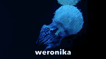 Weronika Jellyfish GIF - Weronika Jellyfish Weronikajellyfish GIFs