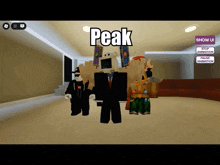 a screenshot of a video game that says peak on it