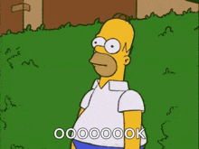 homer simpson from the simpsons is standing in front of a grassy field and talking .