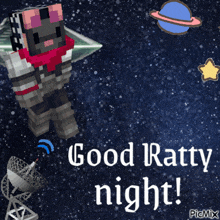 a picture of a cat in space with the words good ratty night on it