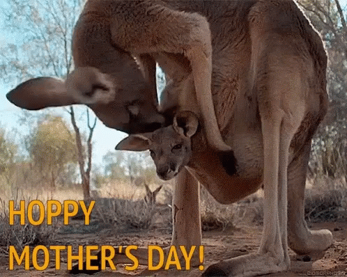 First Mothers Day Mothers Day Funny GIF - First Mothers Day Mothers Day  Funny - Discover & Share GIFs