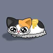 Ho Salt Cat GIF