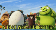 Is That What I Think It Is? GIF - Angry Birds Movie Pig Egg GIFs