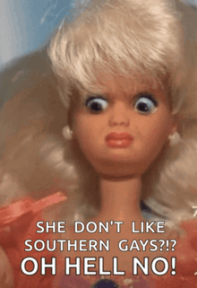 a picture of a barbie doll with a caption that says she does n't like southern gays
