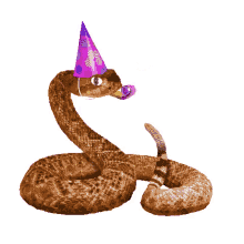 rattle snake celebrating happy birthday party horn snake