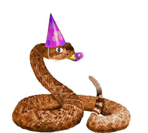 Rattle Snake Celebrating Sticker - Rattle Snake Celebrating Happy Birthday Stickers