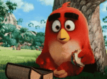 Mad Angry Birds GIF - Mad Angry Birds Wink GIFs