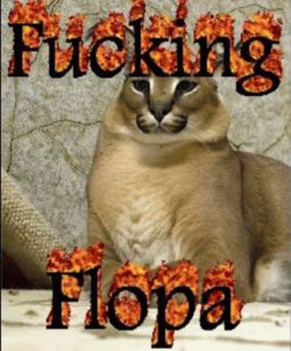 Floppa Flopper GIF - Floppa Flopper Caracal - Discover & Share GIFs