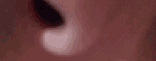 Osus Nose GIF - Osus Nose Nostril GIFs