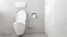 Toilet Repair Scarborough Toilet Repair Services In Scarborough GIF
