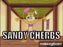 Sandycherbs Spongebob GIF - Sandycherbs Spongebob Spongebobmeme GIFs