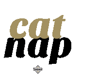 Cat Cat Nap Sticker - Cat Cat Nap Nap Time Stickers
