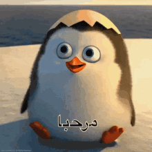 a cartoon penguin with arabic writing on the bottom