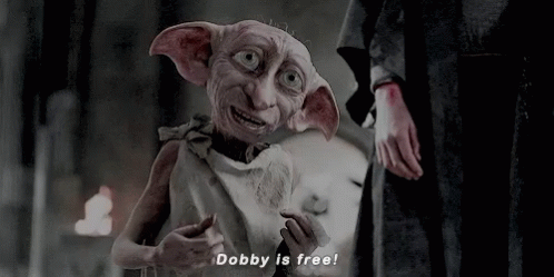 Im Free Dobby Is Free GIF - Im Free Dobby Is Free Freedom ...