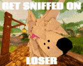 a picture of a dog with the words " get sniffed on loser " below it