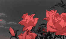 Roses Anime GIF