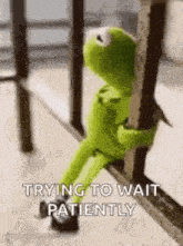 kermit the frog is sitting on a railing holding onto a railing and trying to wait patiently .