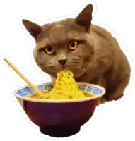 a cat is eating noodles from a bowl that says ' noodles ' on it