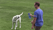 Thirsty Dog GIF - Water Bottle Dog Cute Dog GIFs