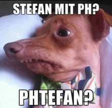 Phtefan GIF - Phtefan GIFs