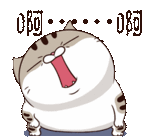 Ami Fat Cat Crazy Sticker - Ami Fat Cat Crazy Loss Control Stickers