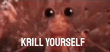 Krill Yourself GIF - Krill Yourself Fish GIFs