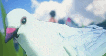 a white pigeon with a pink beak is standing in the grass looking at the camera .