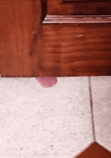 a person 's foot is visible under a wooden door
