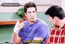 Just Ross!.Gif GIF - Just Ross! Apparel David Schwimmer GIFs