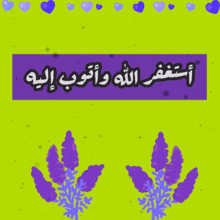 purple flowers and hearts on a green background with arabic writing on it