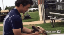 Dansby Dog GIF - Dansby Dog Braves GIFs