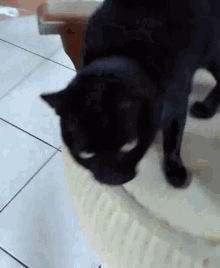 Cat Pet GIF - Cat Pet Black GIFs