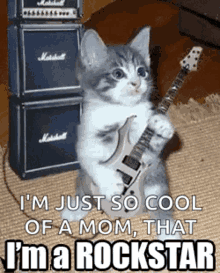 Rockstar Guitar GIF - Rockstar Guitar Cat GIFs