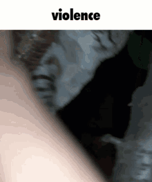 Violence Cat Pretzel Violencia GIF